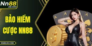 Bảo Hiểm Cược NN88 - Giải Pháp Giảm Rủi Ro Hiệu Quả