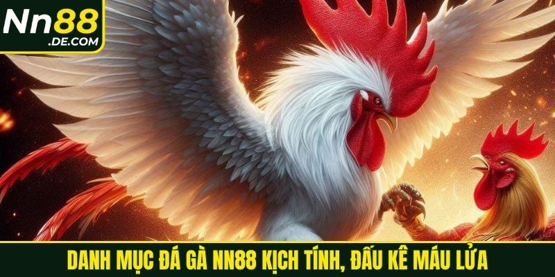 Danh mục đá gà NN88 kịch tính, đấu kê máu lửa