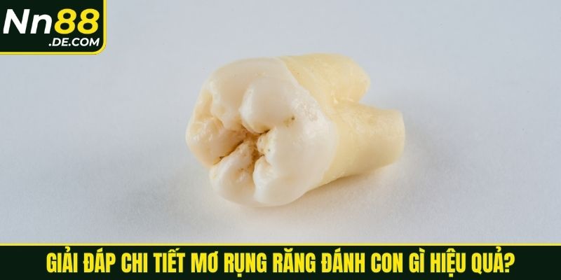 Giải đáp chi tiết mơ rụng răng đánh con gì hiệu quả?