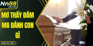 Mơ Thấy Đám Ma Đánh Con Gì, Bí Quyết Chọn Số Tài Lộc