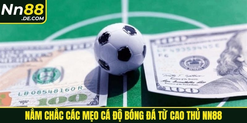 Nắm chắc các mẹo cá độ bóng đá từ cao thủ NN88