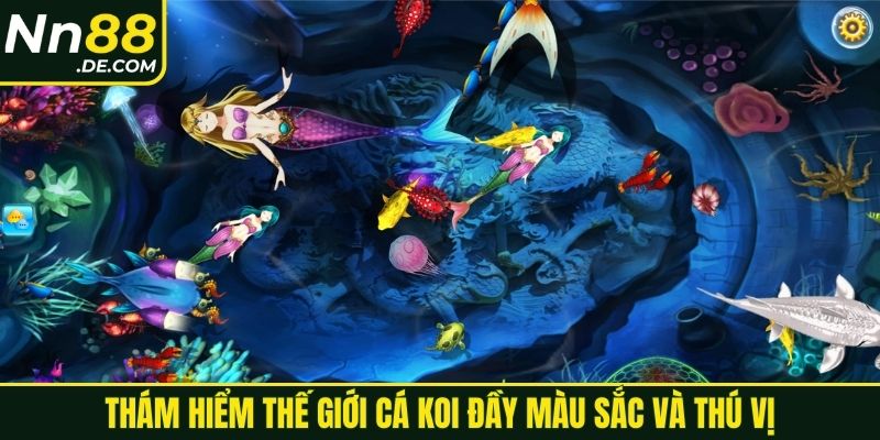 Thám hiểm thế giới cá KOI đầy màu sắc và thú vị