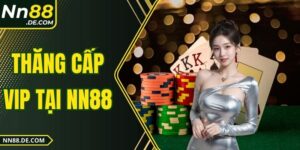 Thăng Cấp VIP Tại NN88 - Đặc Quyền Và Chiến Lược Tăng Hạng